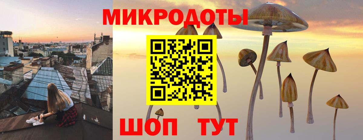 Галлюциногенные грибы Psilocybine cubensis  Галлюциногенные грибы ЛСД  Вход с VPN  Котельники 